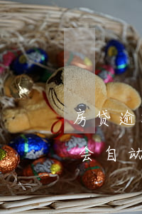 房贷逾期一天不会自动扣(房屋贷款逾期两天会自动再扣吗)