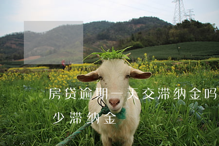 房贷逾期一天交滞纳金吗(逾期交房租每天多少滞纳金)