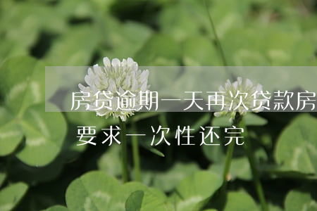 房贷逾期一天再次贷款(房贷逾期多次逾期被要求一次性还完)