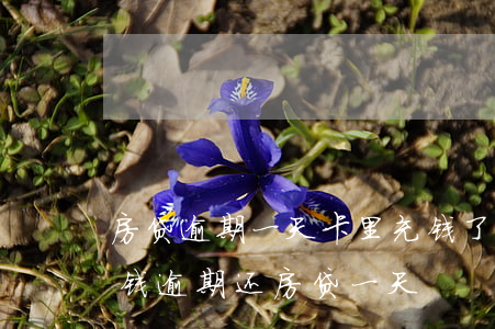 房贷逾期一天卡里充钱了(忘记往银行卡里存钱 逾期还房贷一天)
