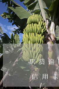 房贷逾期一天征信信用卡(房贷逾期一天征信信用卡)