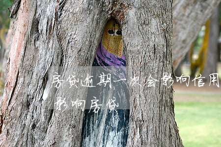 房贷逾期一次会影响信用卡(逾期一次会不会影响房贷)