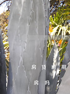 房贷逾期七次会有影响吗(逾期七次能贷款买房吗)
