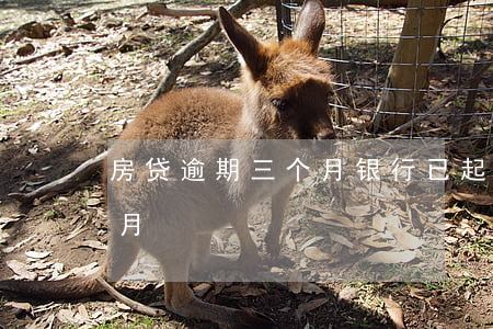 房贷逾期三个月银行已起诉(房贷逾期了3个月)