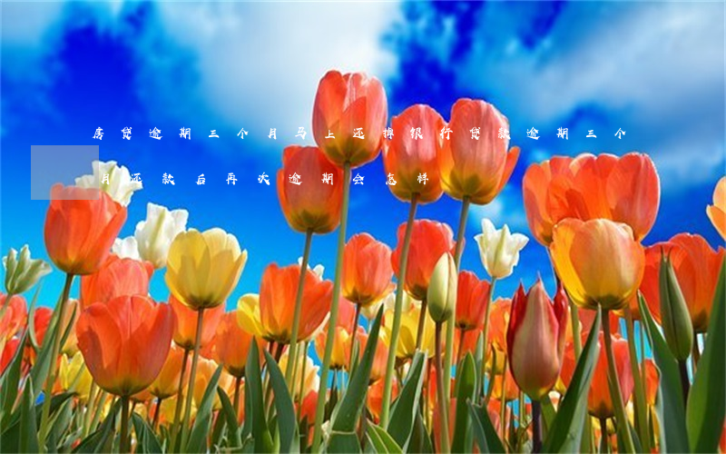 房贷逾期三个月马上还掉(银行贷款逾期三个月还款后再次逾期会怎样)