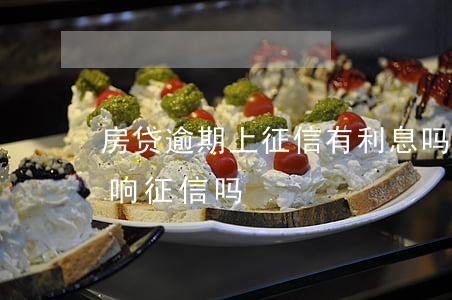 房贷逾期上征信有利息吗(贷款利息逾期会影响征信吗)