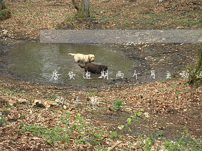 房贷逾期两个月主动还款(房贷逾期两个月主动还款)