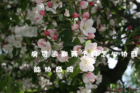 房贷逾期两个月怎么协商(房贷逾期六个月还能协商吗)
