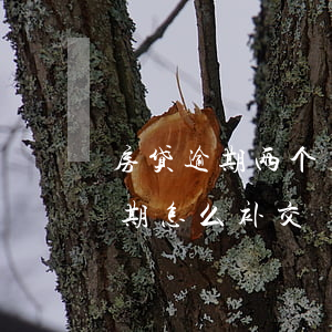 房贷逾期两个月怎么补缴(公积金贷款还款逾期怎么补交)