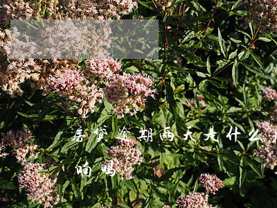 房贷逾期两天是什么后果(房贷逾期两天有影响吗)