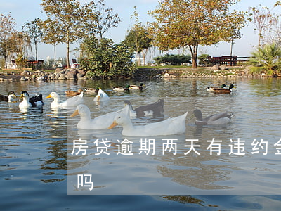 房贷逾期两天有违约金吗(房贷过两天算逾期吗)