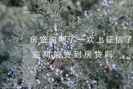 房贷逾期了一次上征信了(个人征信有过一次逾期,能贷到房贷吗)