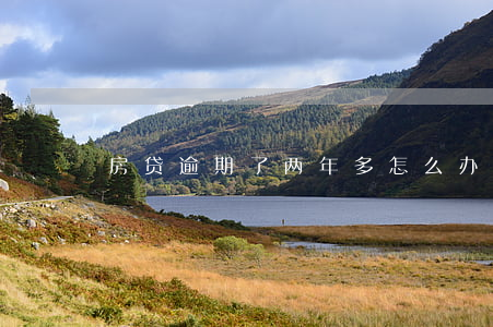 房贷逾期了两年多怎么办(房贷逾期两个月)
