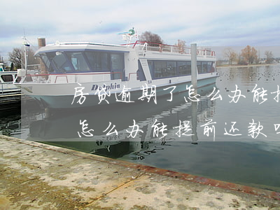 房贷逾期了怎么办能提前还款吗(房贷逾期了怎么办能提前还款吗)