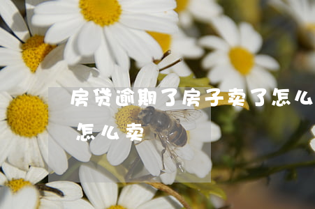 房贷逾期了房子卖了怎么办(房贷逾期的房子怎么卖)