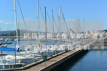 房贷逾期了能拿房产证吗(征信有过逾期,拿房产证能抵押贷款吗)