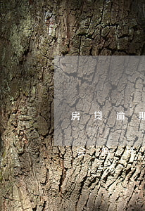 房贷逾期了还不上会怎样(房贷逾期了还不上会怎样)