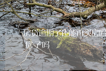 房贷逾期了还能再买房吗(逾期了还能贷款买房子吗)