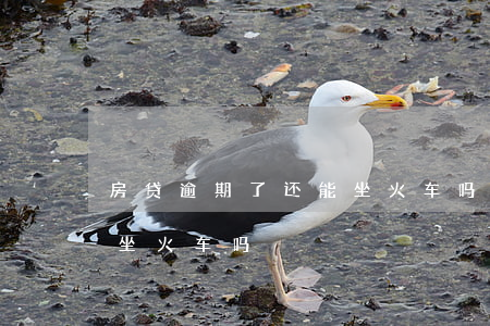 房贷逾期了还能坐火车吗(贷款逾期半年可以坐火车吗)