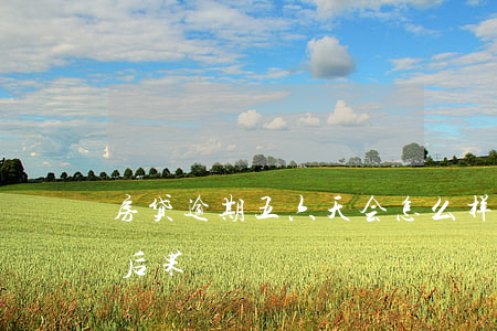 房贷逾期五六天会怎么样(房贷逾期六个月的后果)