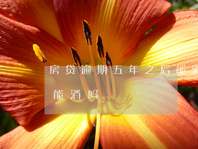 房贷逾期五年之后能消吗(房贷逾期五年之后能消吗)