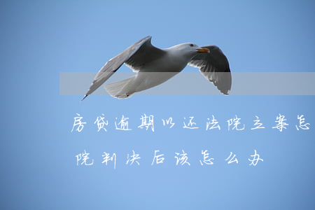 房贷逾期以还法院立案怎么办(房贷逾期被法院判决后该怎么办)