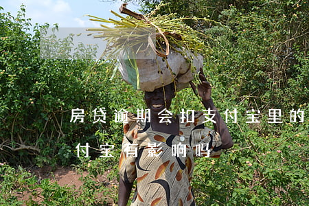 房贷逾期会扣支付宝里的钱吗(房贷逾期对支付宝有影响吗)