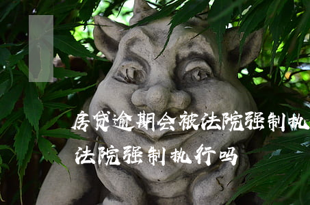 房贷逾期会被法院强制执行吗(房贷逾期会被法院强制执行吗)