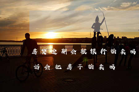 房贷逾期会被银行拍卖吗(房贷逾期半年被起诉会把房子拍卖吗)
