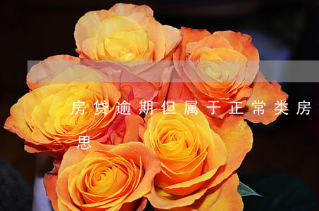 房贷逾期但属于正常类(房贷部分逾期什么意思?)