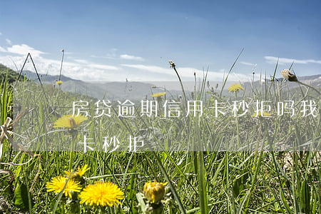 房贷逾期信用卡秒拒吗(我没逾期为什么信用卡秒拒)