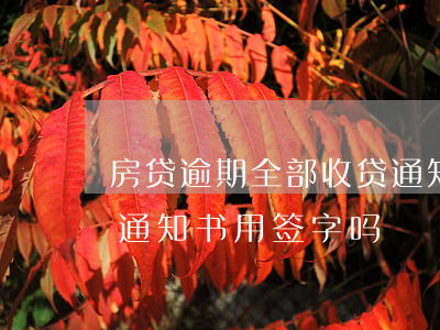 房贷逾期全部收贷通知书(收到贷款逾期催收通知书用签字吗)