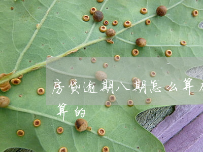 房贷逾期八期怎么算本息(房贷逾期利息怎么算的)