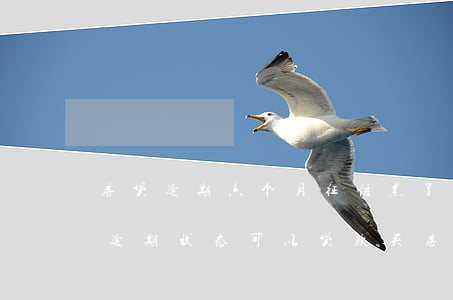 房贷逾期六个月征信黑了(征信报告有6个月逾期状态,可以贷款买房吗)