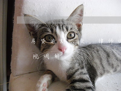 房贷逾期六次_律师调解(房贷逾期一年多法院调解)