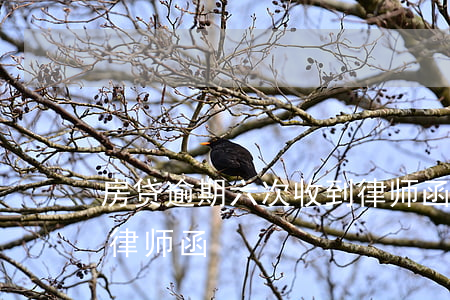 房贷逾期六次收到律师函(房贷逾期6次收到律师函)