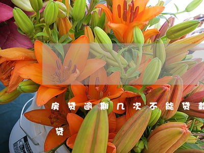 房贷逾期几次不能贷款-多少次逾期不能房贷