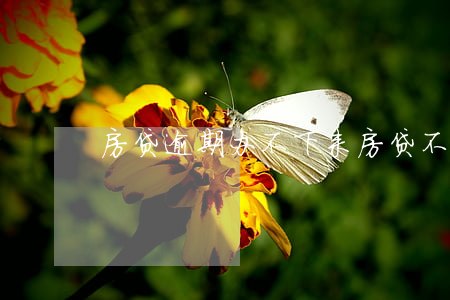 房贷逾期办不下来(房贷不小心逾期了怎么办)