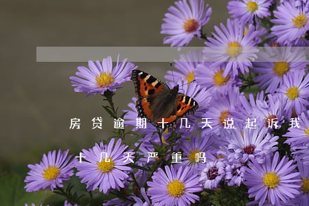 房贷逾期十几天说起诉我是真的吗 房贷逾期十几天严重吗