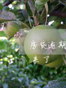 房贷逾期十几次没被起诉(十几次逾期房贷下来了)