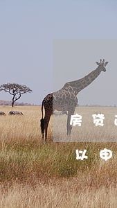 房贷逾期半年后能申请吗(贷款有一次逾期可以申请房贷吗)