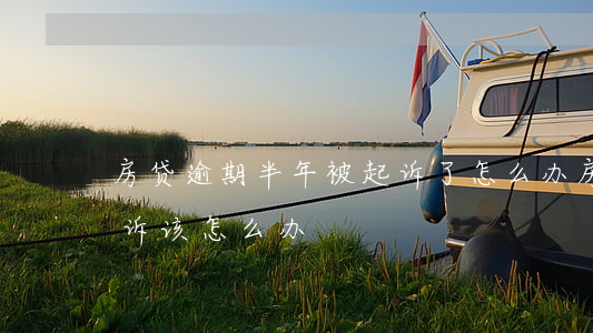 房贷逾期半年被起诉了怎么办(房贷逾期被起诉该怎么办)