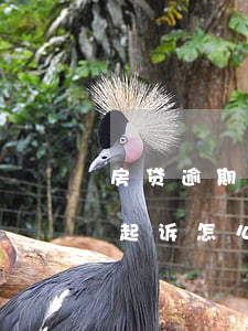 房贷逾期半年被起诉怎么办（房贷逾期半年被起诉怎么办）
