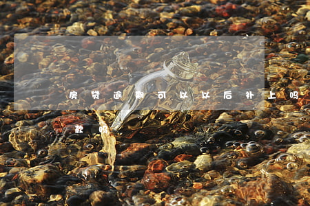 房贷逾期可以以后补上吗(房贷逾期了还能贷款吗)