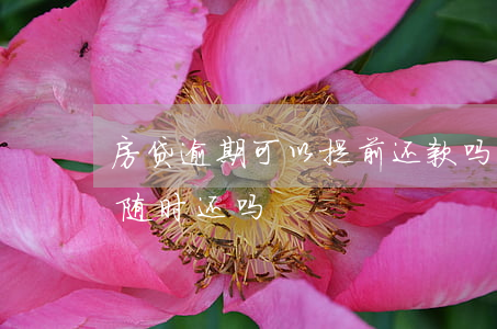 房贷逾期可以提前还款吗(房贷提前还款可以随时还吗)