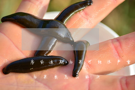 房贷逾期后果可能很严重(房贷逾期会有什么后果,要怎么解决)