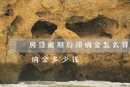 房贷逾期后滞纳金怎么算(房贷逾期罚金和滞纳金多少钱)
