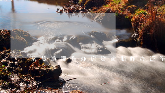 房贷逾期咋办(房贷逾期咋办还不了款)