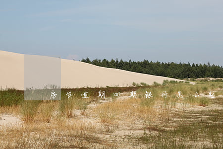 房贷逾期四期银行怎么起诉