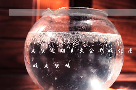 房贷逾期多久会影响信用（信用卡逾期很久影响房贷吗）